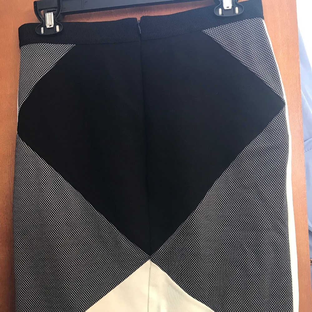 Ann Taylor Skirt